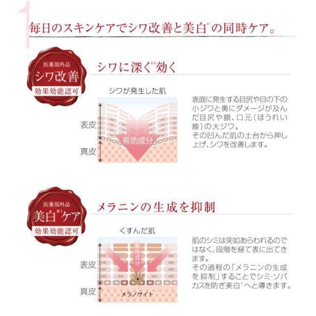 A&C PE ザ ホワイトアウト リンクル クリーム -50g- （シワ改善・美白