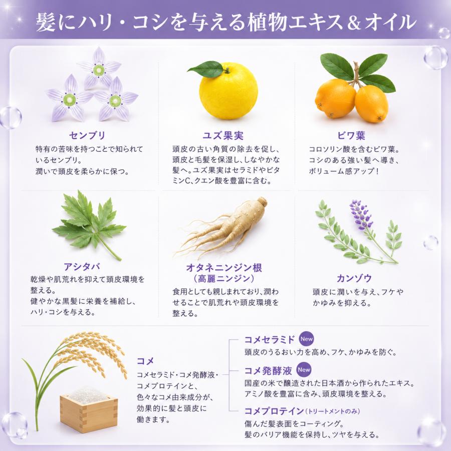 毛根幹細胞培養液+植物性成分配合 サロン仕様ヘアケア MEDIFARMACY