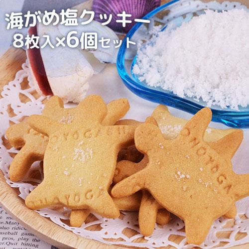 全て国産素材の無添加クッキー 海がめ塩クッキー 8枚入り 6個セット 大分県産なずなの塩 牛乳 小麦粉 ギフトボックス入り オノヨーガシ コスメボックス Paypayモール店 通販 Paypayモール
