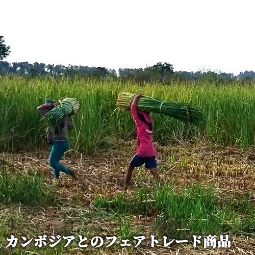 大分県国東市 七島藺敷物マット 七島藺草の円座 柔らか座布団 七島い