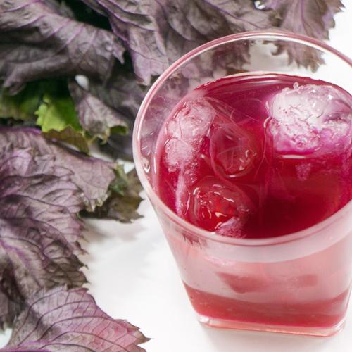 自然から生まれた体にやさしい果実酢 初恋梅の地獄蒸し紫蘇ビネガーお試しボトル 105mL×3個セット 鉄輪本舗 送料込 | ブランド登録なし | 04