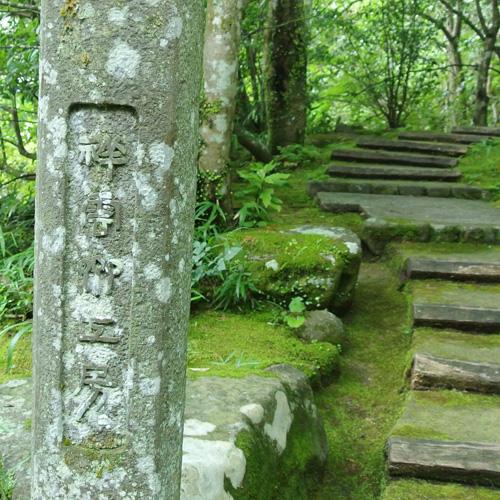 人間国宝 竹工芸家 生野祥雲斎考案 生野徳三 萌黄箸 青竹はし 長さ約22cm 塗料・防腐剤不使用 天然素材 国産竹 贈り物 新年 此君亭工房｜cosmebox｜07