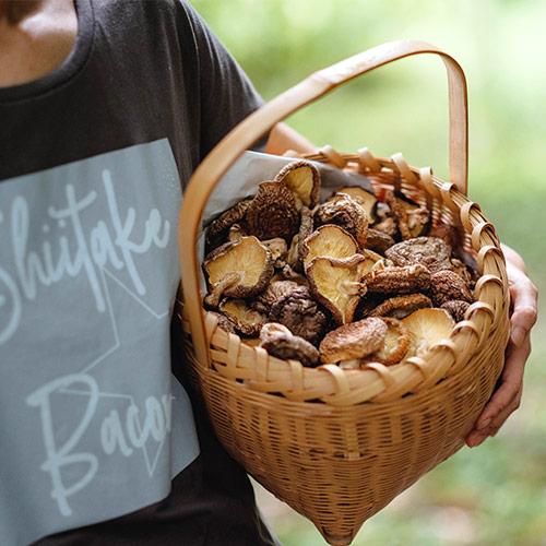 大分県産原木椎茸を燻製したベーコン風調味料 SHIITAKE BACON