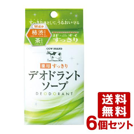 サントリー健康科学研究所プラスデオデオドラントソープ100g 6個
