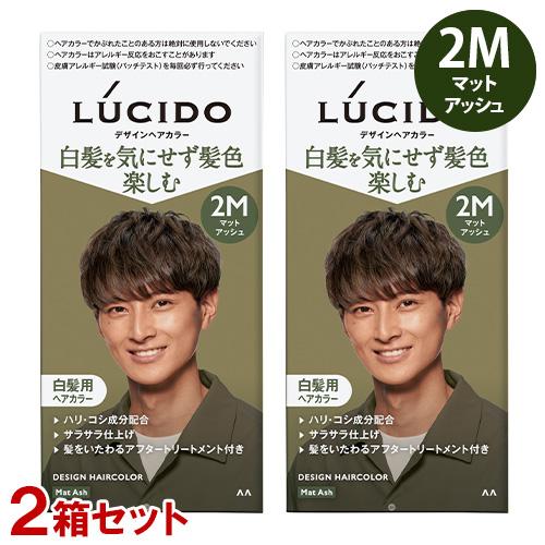 LUCIDO（ルシード） デザインヘアカラー 2Mマットアッシュ×2個セット
