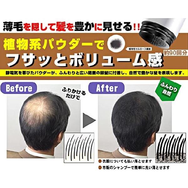 柳屋 トップシェード カバーヘアー 薄毛対策増毛パウダー (人工毛粉末・自然な黒色) 35g  TopShade YANAGIYA｜cosmebox｜02