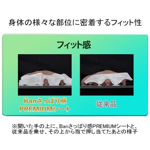 Ban バン(Ban) さっぱり感 PREMIUMシート ノンパウダータイプ