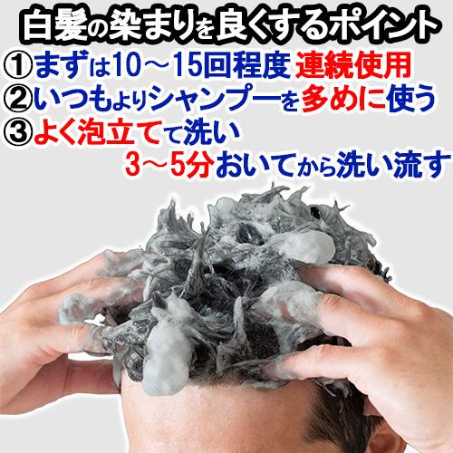 白髪染めシャンプー　２個 パルティ 白髪染めシャンプー2個セット メンズ カラーシャンプー
