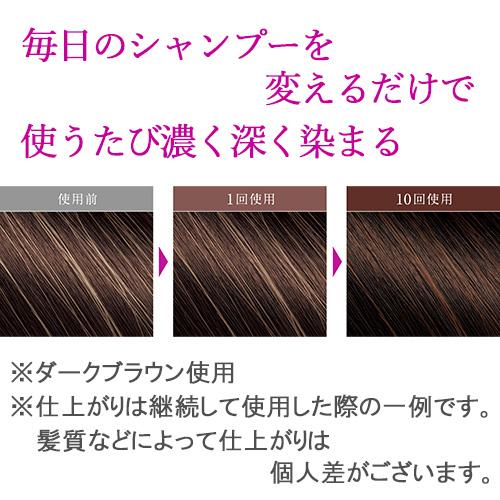 ダークブラウン カラーシャンプー 3個セット もう「実年齢より老けて見える」なんて言わせない！カラーシャンプー