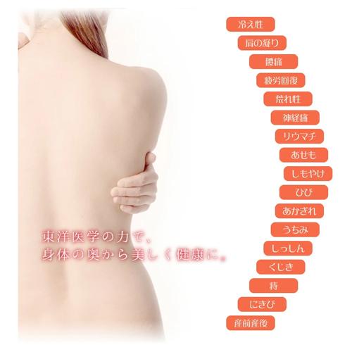 薬用入浴剤 百薬湯(ひゃくやくとう) 30g×10包入×20個セット きざみ生薬5種配合 医薬部外品 UYEKI(ウエキ) 送料込(北海道除く)の画像