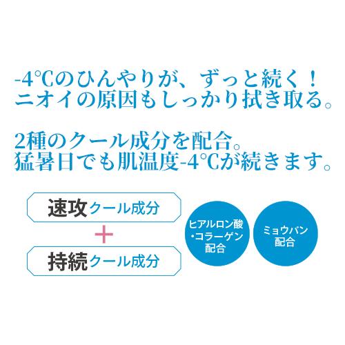 2個セット 【無香料】極寒タオル 超大判クールシート 5枚入 エスカラット(S-CARAT) コーセーコスメポート(KOSE COSMEPORT) メール便送料込｜cosmebox｜02