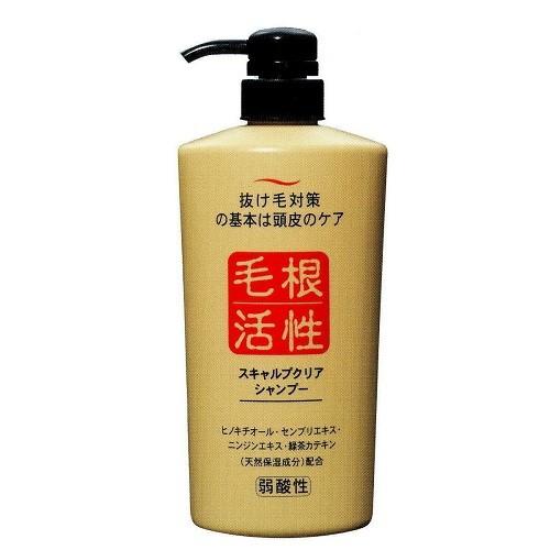 ジュン・コスメティック スキャルプクリアシャンプー 550ml｜cosmecom