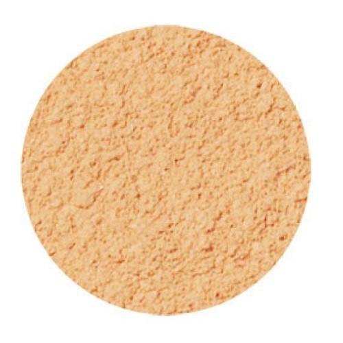 オンリーミネラル ミネラルモイストファンデーション(レフィル ヘルシーオークル) 10g