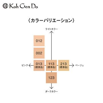 江原堂 リキッドファンデーション 013　1個　02　1個　未使用品　ラスト1 Koh Gen Do（江原道） アクアファンデーション(本体 013) 30mL