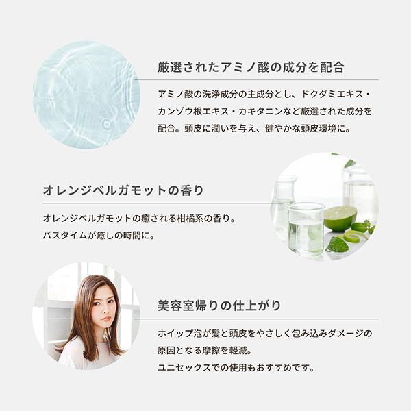 NANACOSTAR 銀のシャンプー(【PREMIUM&QUALITY】 黒) 300ml : アット