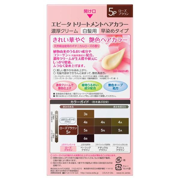 EVITA トリートメントヘアカラー 5P ローズブラウン 18個セット EVITA エビータ トリートメントヘアカラー(5P ローズブラウン) 1剤