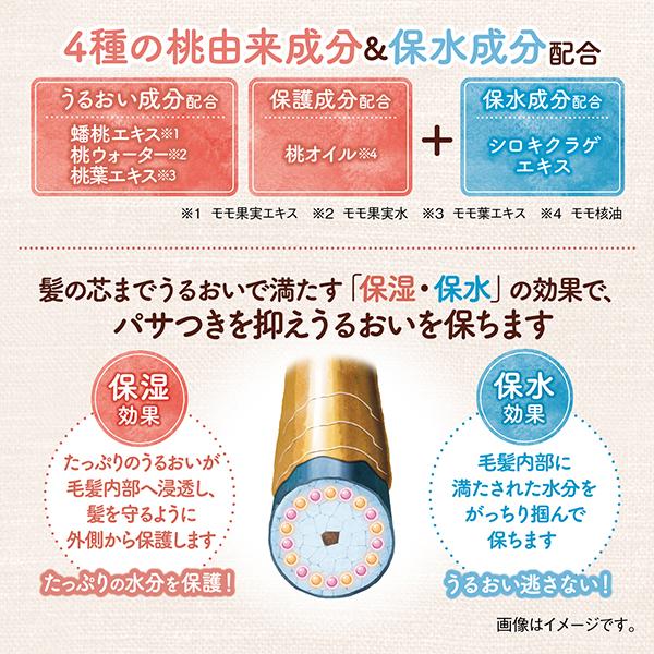 ポイント10%バック 1月15日」モモリ 濡れ髪アレンジ スタイリング