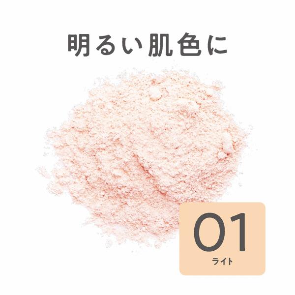 CEZANNE（セザンヌ化粧品） セザンヌ UVシルクカバーパウダー(詰替 01