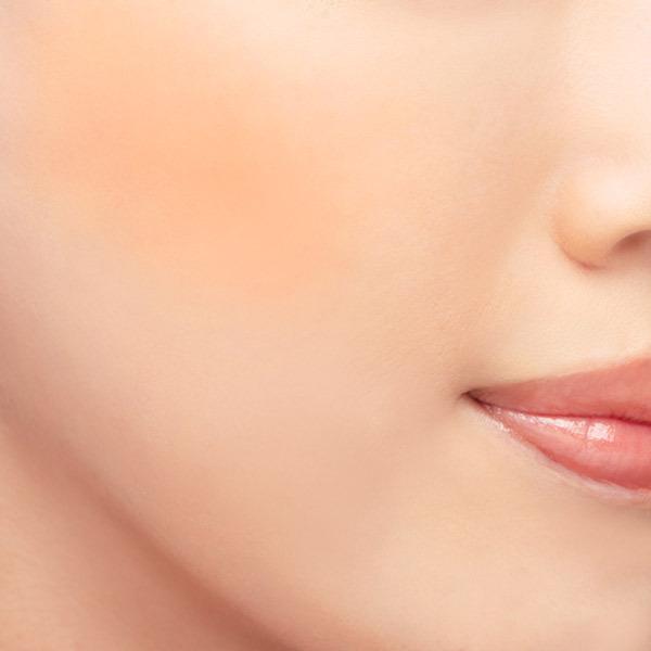 Chacott COSMETICS(チャコット・コスメティクス) マルチカラーバリエーション マット(MA07) | Chacott | 02