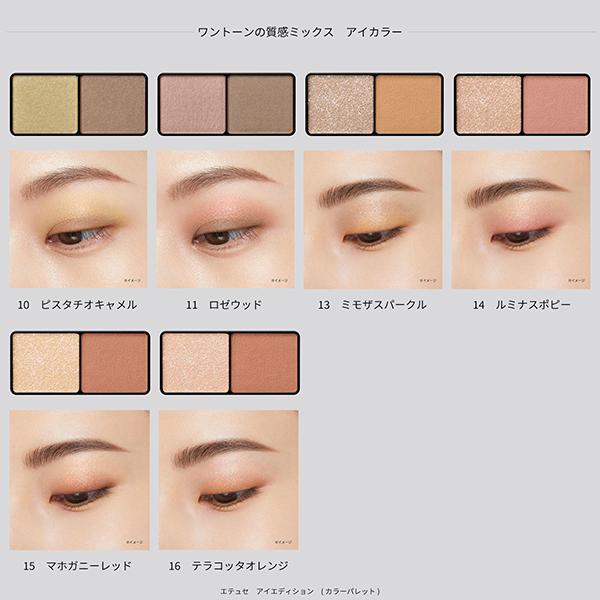 ettusais（エテュセ） アイエディション(カラーパレット)(本体