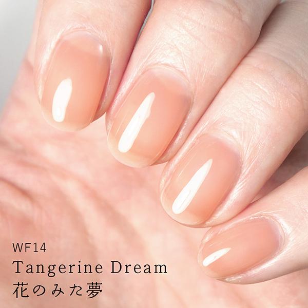 HOMEI ウィークリージェル(WF14 Tangerine Dream) 10ml｜cosmecom｜02