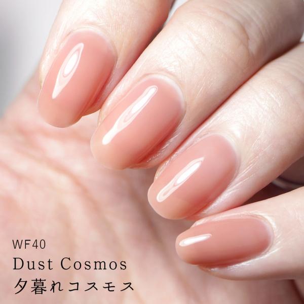 HOMEI（ホーメイ） ウィークリージェル(WF40 Dust Cosmos) 10ml
