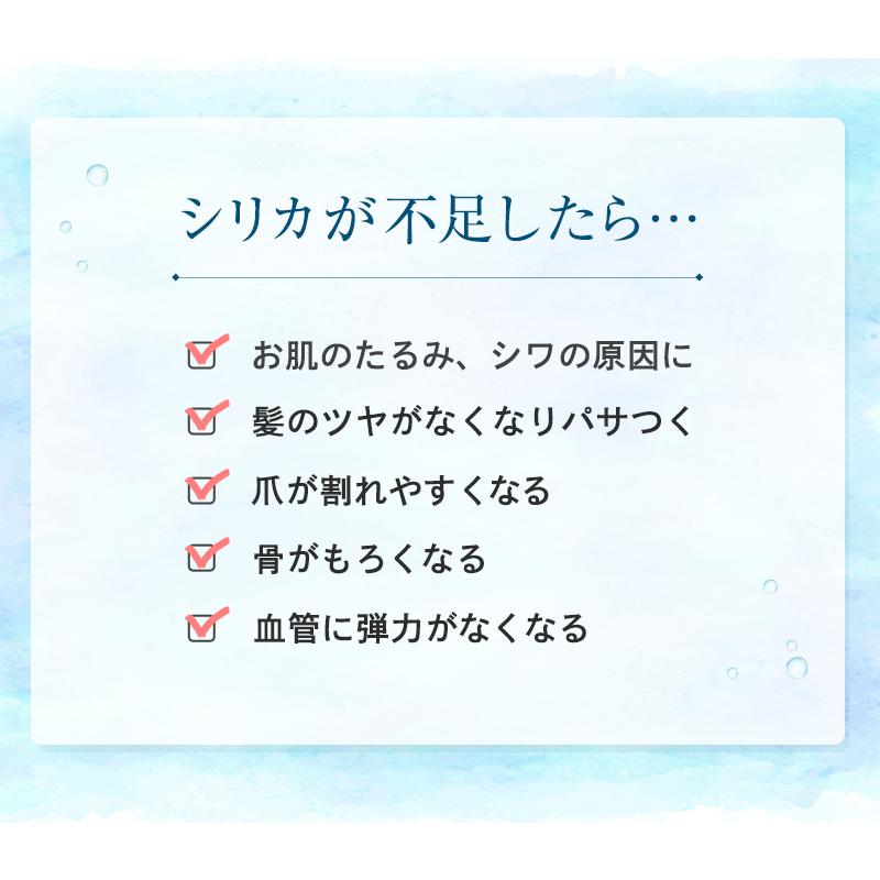 シリカ水 500ml 48本 送料無 シリカ効果 500ml 24本 2ケース 天然 ミネラルウォーター 霧島 シリカ水 ケイ素 水 天然シリカ水 宮崎県小林市 299 2 コスメドラッグファン 通販 Yahoo ショッピング