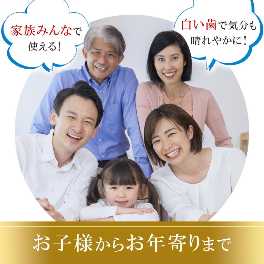 ホワイトニング 歯 白くする ホワイトニングペン ジェル LDK年間1位 薬用 重曹 黄ばみ 口臭 自宅 1本12ｇ大容量 味さわやか ポリリン酸 デンタブラッシュEX 爆買 |  | 16