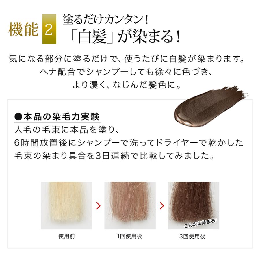 今だけモニター限定 送料無料 シーヴァ インスタントカラー ヘアーファンデーション 染まるヘアファンデ 白髪隠し 白髪染め ヘナ配合 ジアミン無添加 L010 コスメジタン公式ショップヤフー店 通販 Yahoo ショッピング