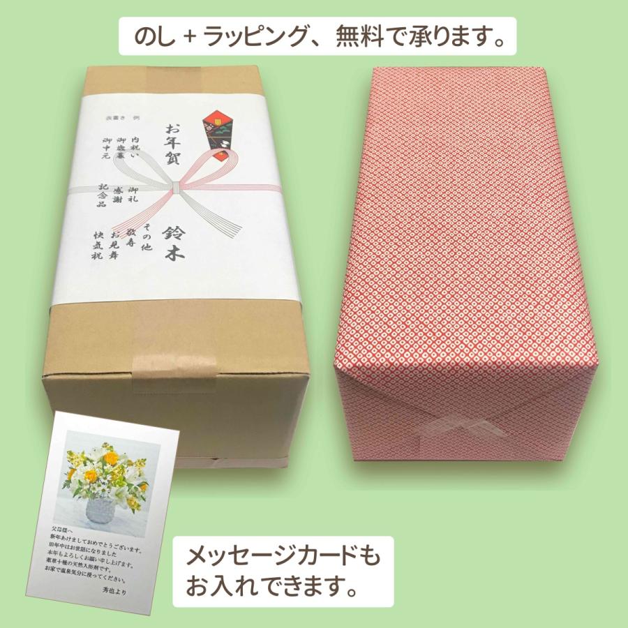 薬草入浴剤 伊吹薬泉物語り 10袋20包 1包に25g 薬草湯 刻み生薬100