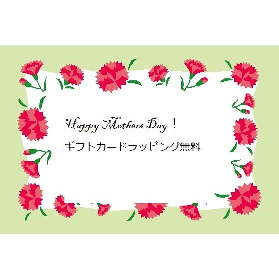薬草入浴剤 伊吹薬泉物語り 30袋 60包 1包に25g 薬草湯 刻み生薬100