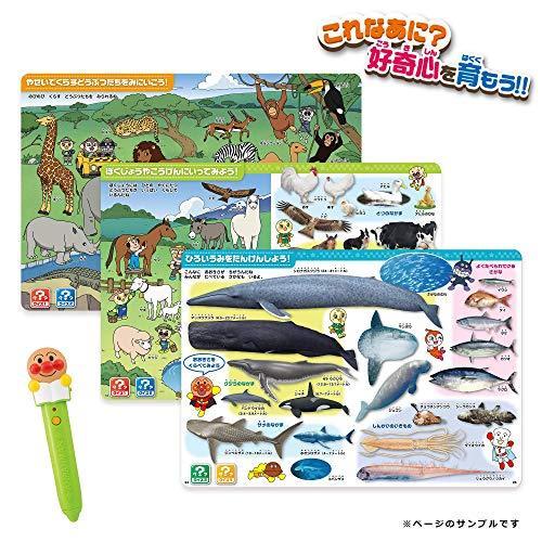 配送員設置送料無料 アンパンマンおしゃべり どうぶつ ずかん 本174 240 17mm ペン37 170 35mm Cstr00l9tkdoy Cosmo Place 通販 Yahoo ショッピング 予約販売品 Www Ladislexia Net