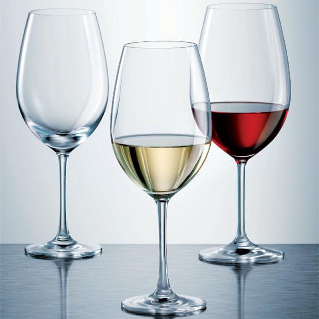 SCHOTT ZWIESEL ショット ツヴィーゼル イヴェント レッドワイン 506ml