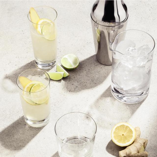SCHOTT ZWIESEL ショット ツヴィーゼル バーセレクション ロング