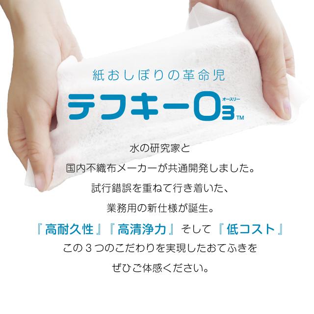 平型 紙おしぼり テフキーO3 Mサイズ 4400枚／100枚入×44パック
