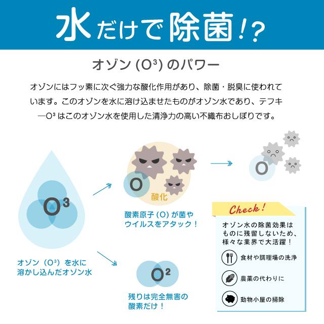 平型 紙おしぼり テフキーO3 Mサイズ 4400枚／100枚入×44パック