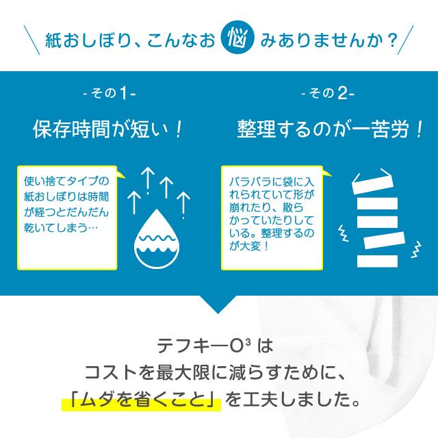 平型 紙おしぼり テフキーO3 Mサイズ 4400枚／100枚入×44パック