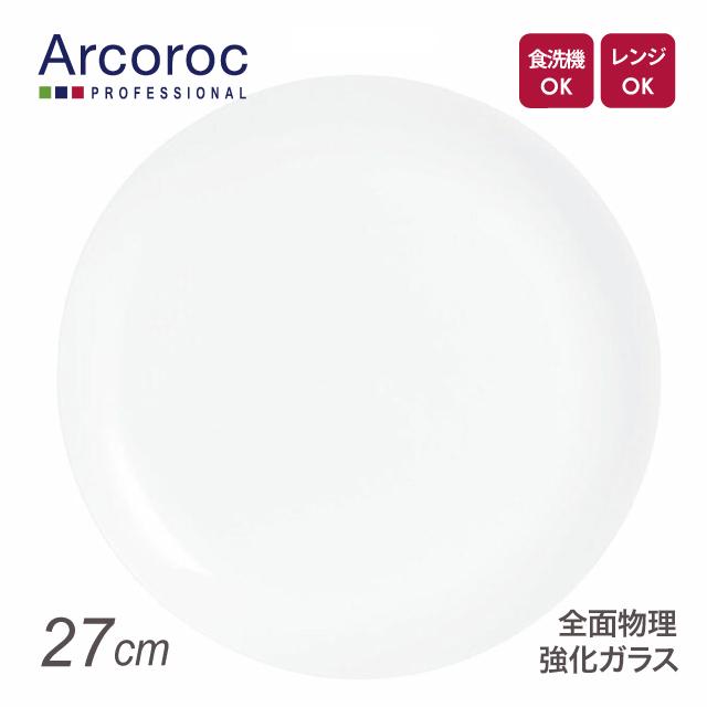 ARCOROC（アルコロック） エボリューション W ディナープレート N9360