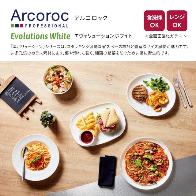 エボリューション W ディナープレート N9360 27cm（REV0301）1-2369