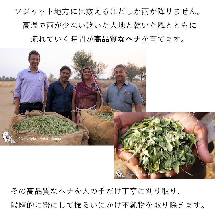 ソジャットヘナ (サフランオレンジ) ヘナ 白髪染め 茶系 天然 100