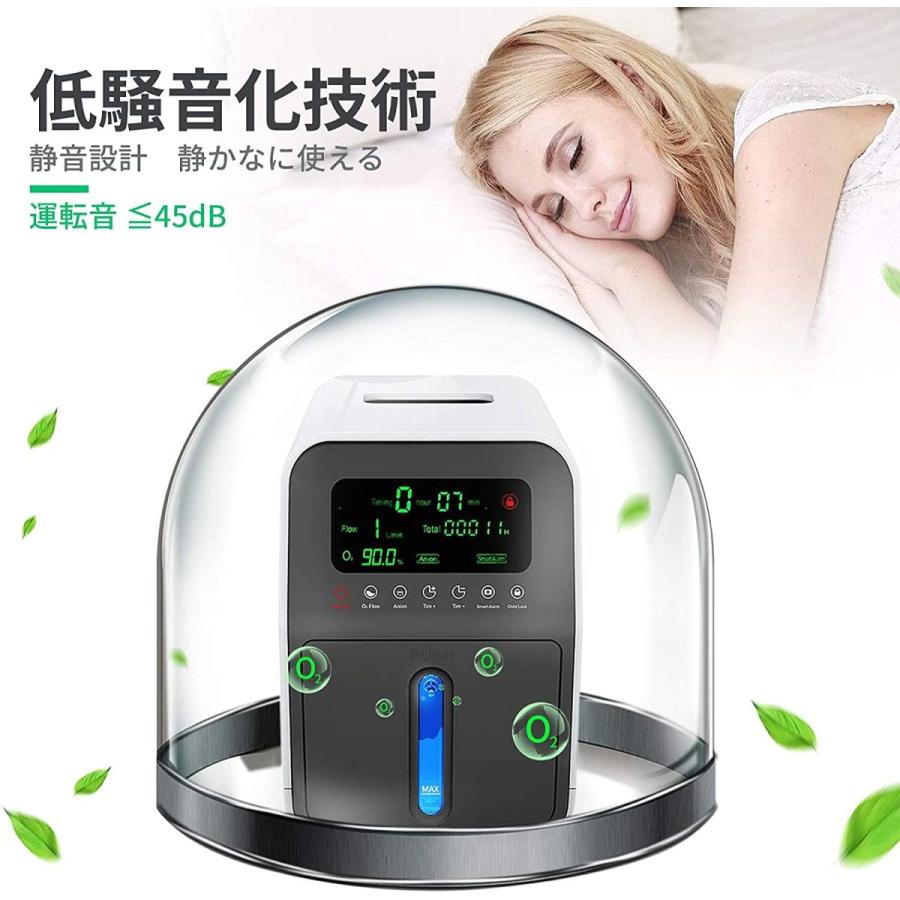 未使用【VIPLA】高濃度イオン発生器 電解水素水生成器 ピュアナノZX-05｜送料無料でお届け