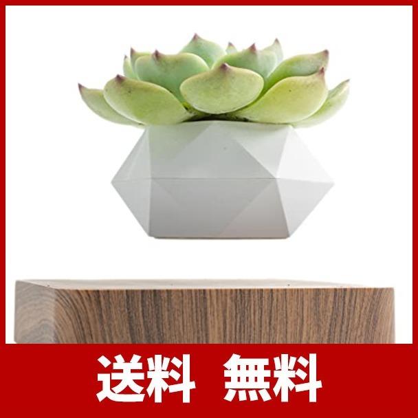 Moetatsu 磁気浮上 空中浮遊 多肉植物用鉢 ギフト プレゼント 面白いグッズ 日本語取扱 贈り物 植木鉢 おしゃれなインテリア