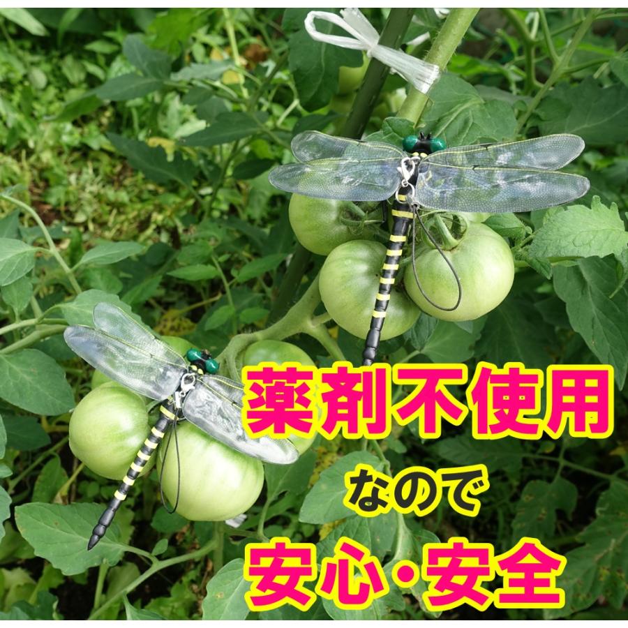 オニヤンマ 虫除け 虫よけ オニヤンマ 君 キャンプ アウトドア 蚊 屋外 グッズ バーベキューゴルフ トンボ 安全ピン フィギュア ストラップ 12cm 効果 模型｜cosmos-shizen｜08