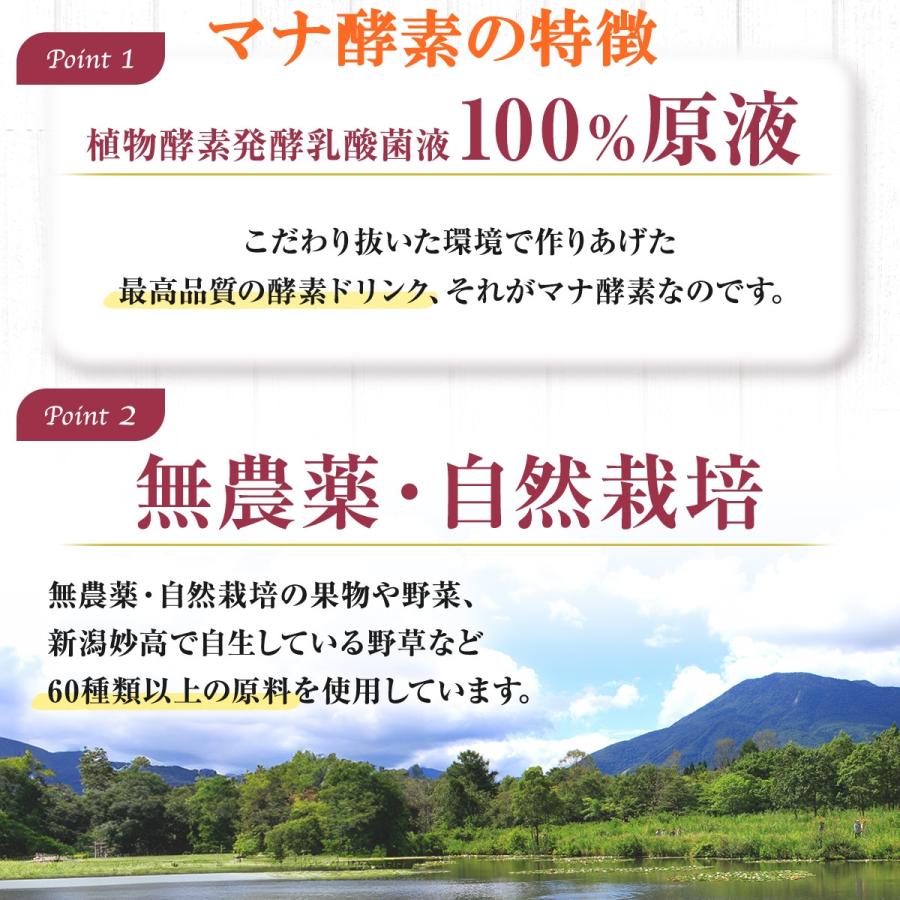 乳酸菌 健康 ダイエット 半日ファスティング マナ酵素 MANA 酵素ドリンク 発酵 食品 栄養 無添加 酵母菌 原液 天然 500ml マグネシウム