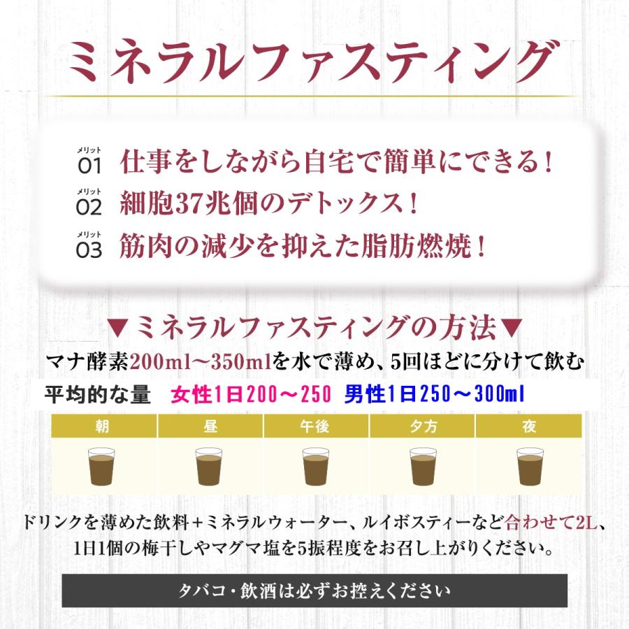 ファスティング 5日間 マナ酵素 3本 セット お歳暮 MANA 酵素ドリンク