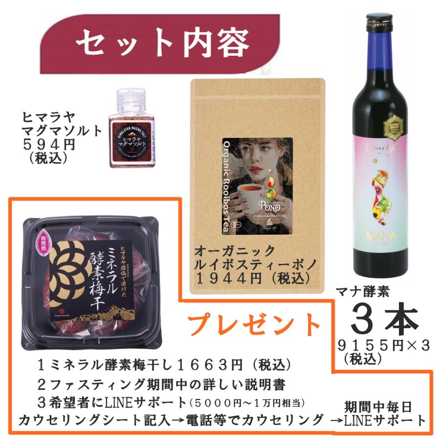 ファスティング 5日間 マナ酵素 3本 セット お歳暮 MANA 酵素 ファスティング 5日間 マナ酵素 3本 セット お歳暮 MANA 酵素