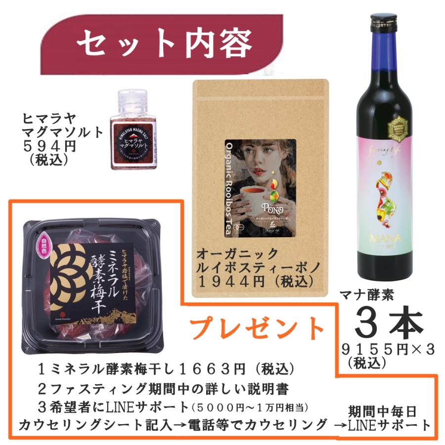 ファスティング ５日間 マナ酵素 3本 セット MANA 酵素ドリンク 健康 発酵 乳酸菌 食品 栄養 無添加 熟成 酵母菌 原液 保存料 500ml マグネシウム 無農薬｜cosmos-shizen｜18