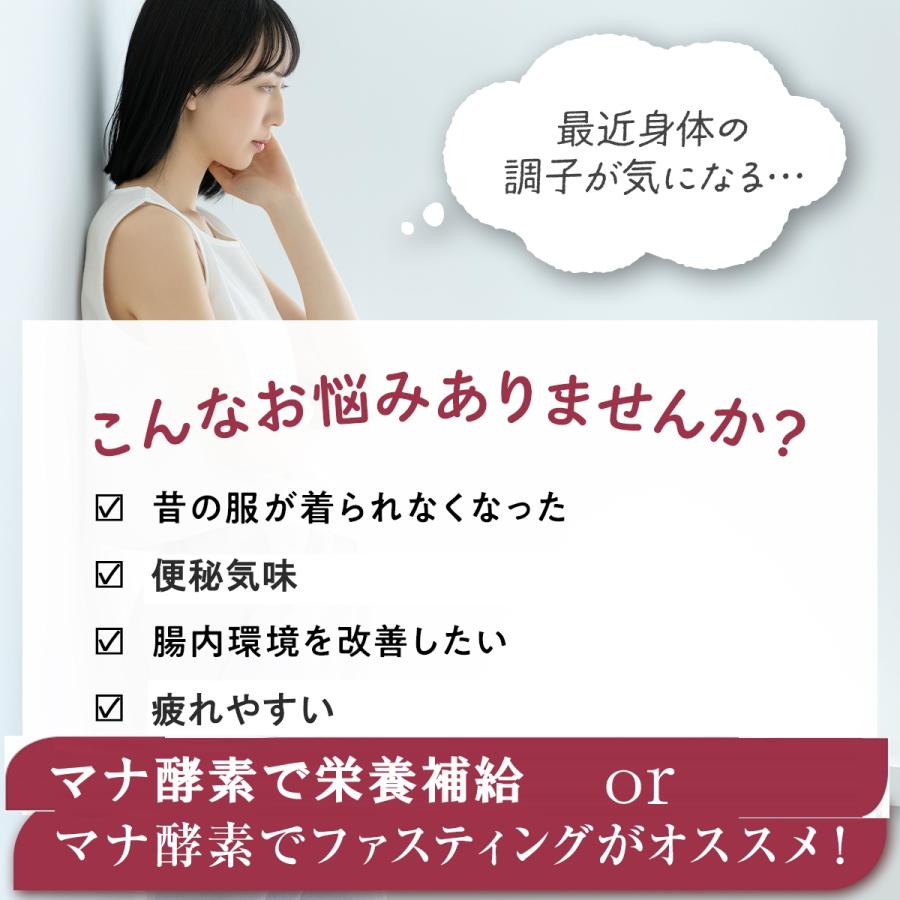 ファスティング 5日間 マナ酵素 3本 セット お歳暮 MANA 酵素ドリンク