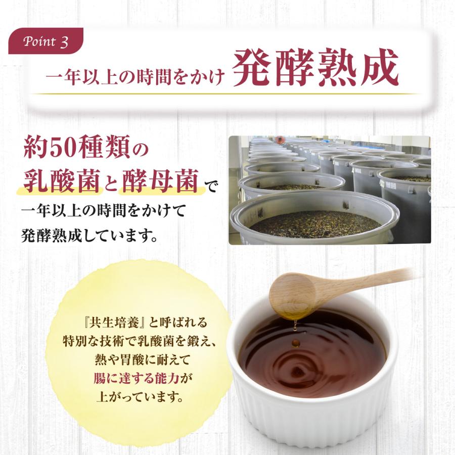 ファスティング ５日間 マナ酵素 3本 セット MANA 酵素ドリンク 健康 発酵 乳酸菌 食品 栄養 無添加 熟成 酵母菌 原液 保存料 500ml マグネシウム 無農薬｜cosmos-shizen｜06