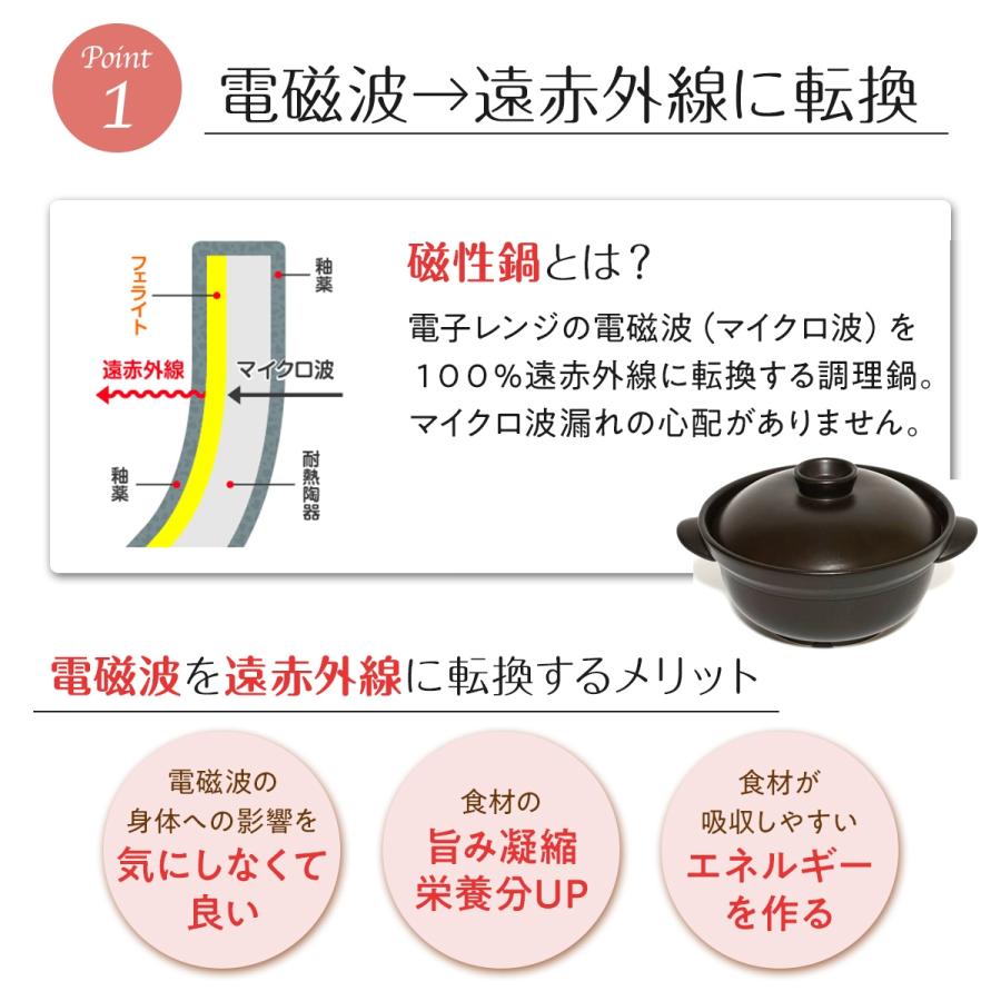 両手鍋 調理器具 軽い 軽量 25cm 電子レンジok 対応 おしゃれ 大容量